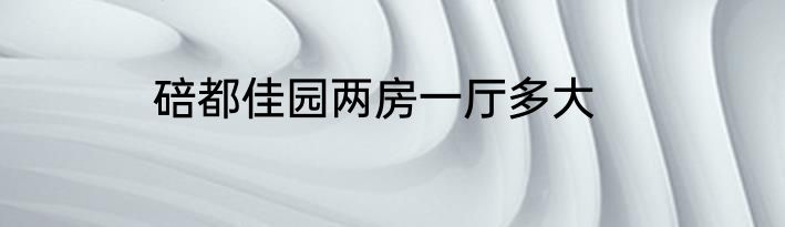 碚都佳园两房一厅多大