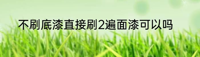 不刷底漆直接刷2遍面漆可以吗