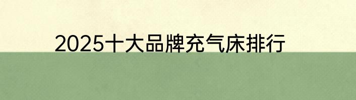 2025十大品牌充气床排行