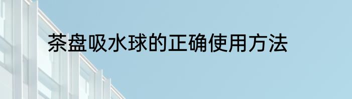 茶盘吸水球的正确使用方法