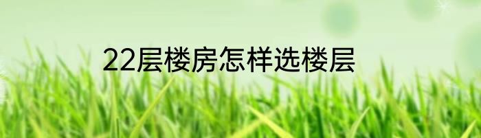 22层楼房怎样选楼层