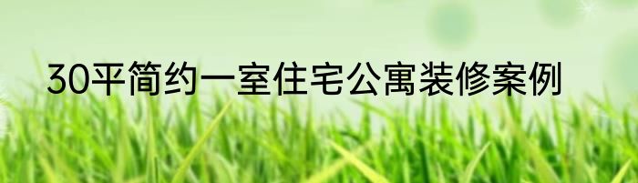 30平简约一室住宅公寓装修案例