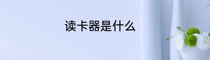 读卡器是什么