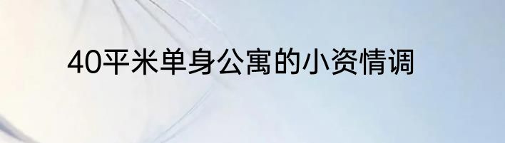 40平米单身公寓的小资情调