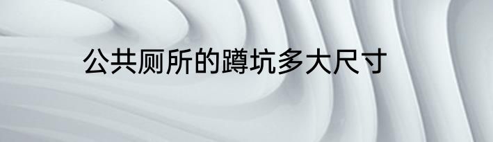 公共厕所的蹲坑多大尺寸