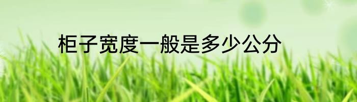 柜子宽度一般是多少公分