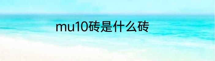 mu10砖是什么砖
