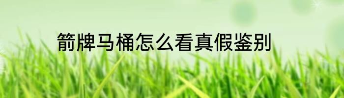 箭牌马桶怎么看真假鉴别