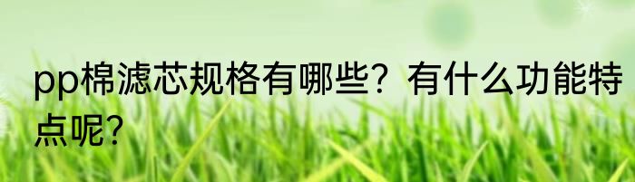 pp棉滤芯规格有哪些？有什么功能特点呢？