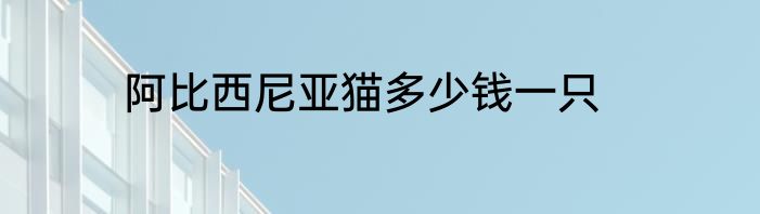 阿比西尼亚猫多少钱一只