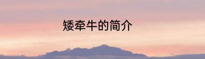 矮牵牛的简介