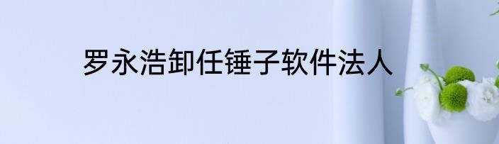 罗永浩卸任锤子软件法人