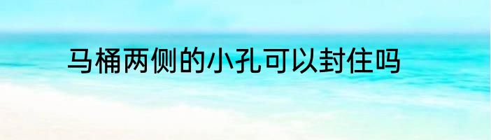 马桶两侧的小孔可以封住吗