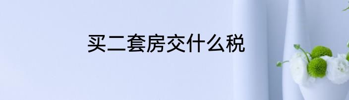 买二套房交什么税