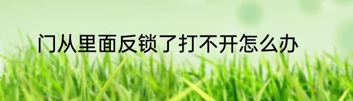 门从里面反锁了打不开怎么办