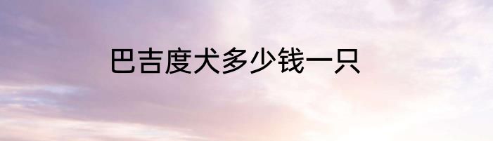 巴吉度犬多少钱一只