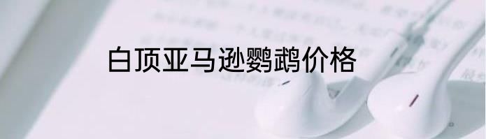 白顶亚马逊鹦鹉价格