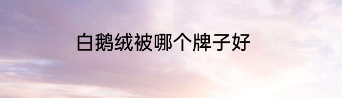白鹅绒被哪个牌子好