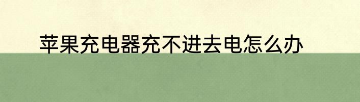 苹果充电器充不进去电怎么办