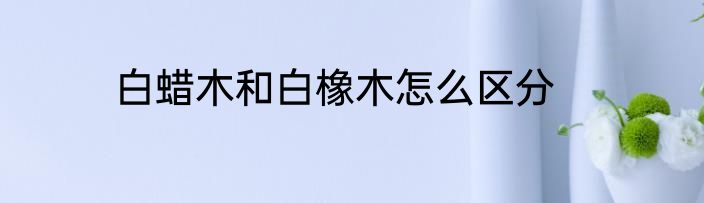 白蜡木和白橡木怎么区分