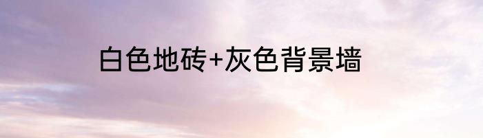 白色地砖+灰色背景墙