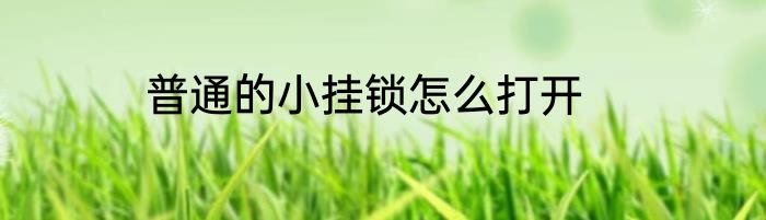 普通的小挂锁怎么打开
