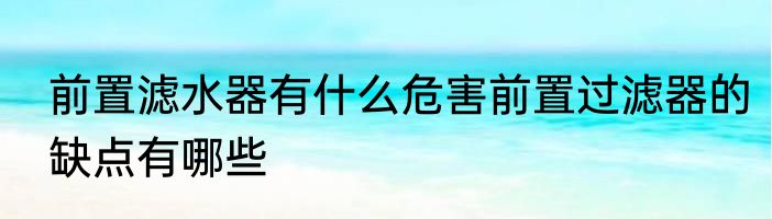 前置滤水器有什么危害前置过滤器的缺点有哪些