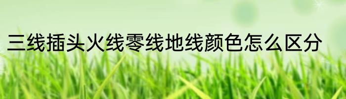 三线插头火线零线地线颜色怎么区分