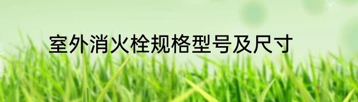 室外消火栓规格型号及尺寸