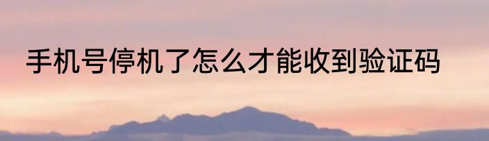 手机号停机了怎么才能收到验证码