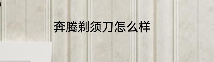 奔腾剃须刀怎么样