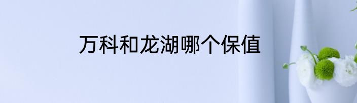 万科和龙湖哪个保值