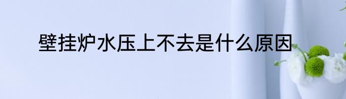 壁挂炉水压上不去是什么原因