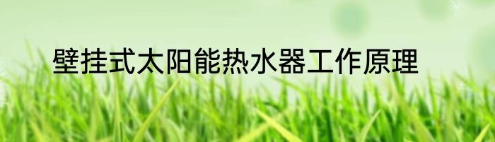 壁挂式太阳能热水器工作原理