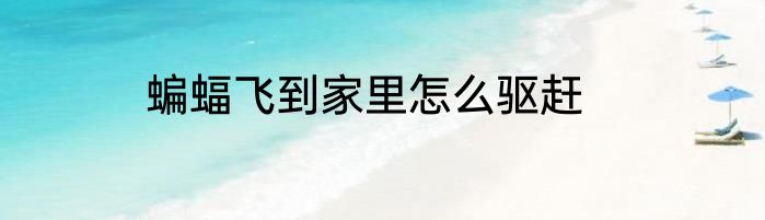 蝙蝠飞到家里怎么驱赶