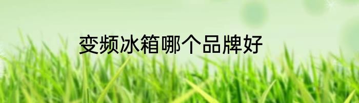 变频冰箱哪个品牌好