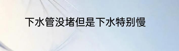 下水管没堵但是下水特别慢