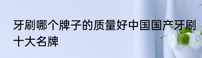 牙刷哪个牌子的质量好中国国产牙刷十大名牌