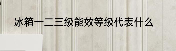 冰箱一二三级能效等级代表什么