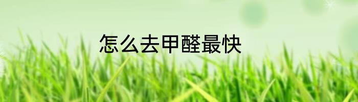 怎么去甲醛最快