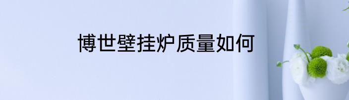 博世壁挂炉质量如何