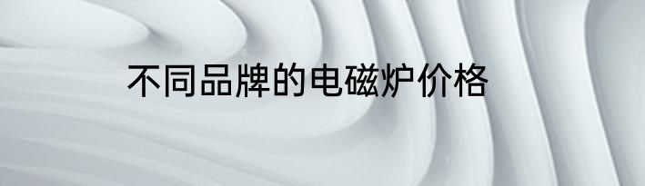 不同品牌的电磁炉价格