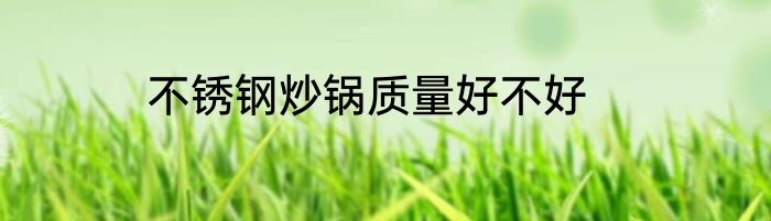 不锈钢炒锅质量好不好