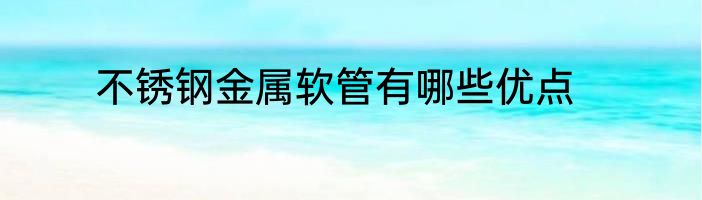 不锈钢金属软管有哪些优点