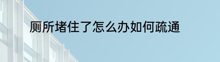 厕所堵住了怎么办如何疏通