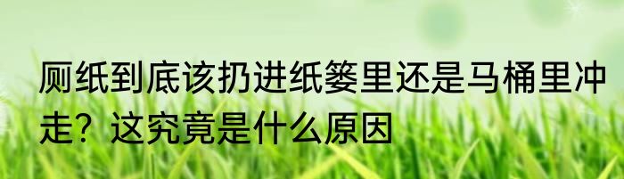 厕纸到底该扔进纸篓里还是马桶里冲走？这究竟是什么原因