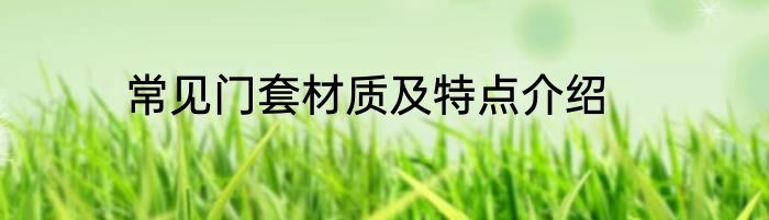 常见门套材质及特点介绍