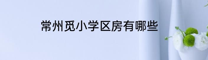 常州觅小学区房有哪些