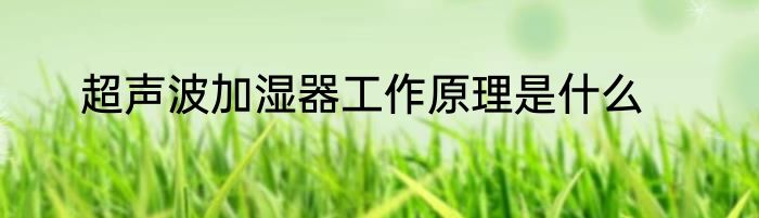 超声波加湿器工作原理是什么