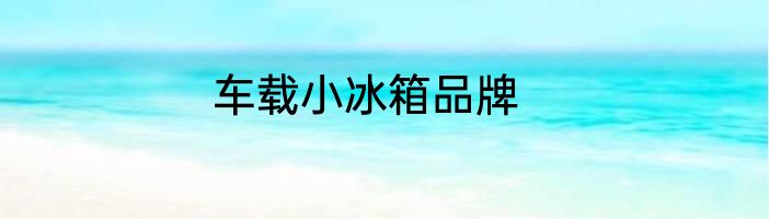 车载小冰箱品牌